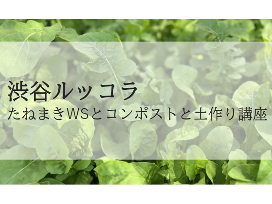 『渋谷ルッコラ』のたねまきWSとコンポストと土作りについての講座