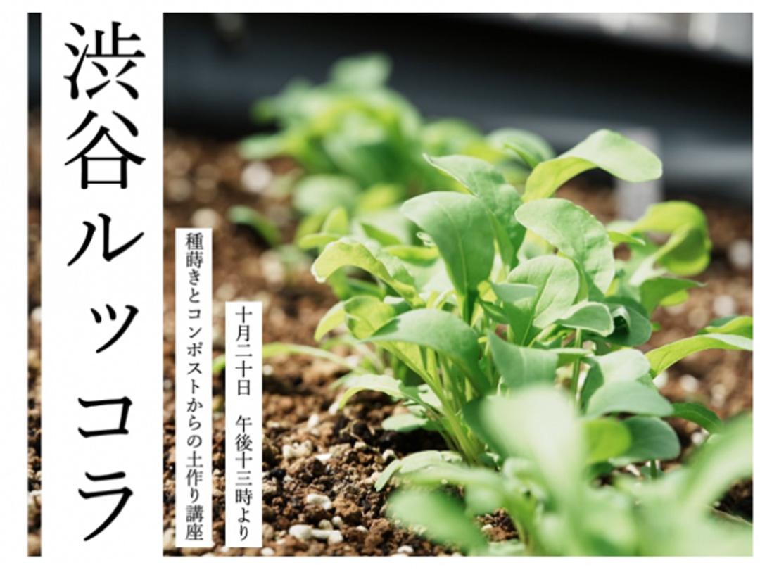 &quot;Shibuya Arugula&quot; Seed Sowing Workshop and Lecture on Making Soil from Compost