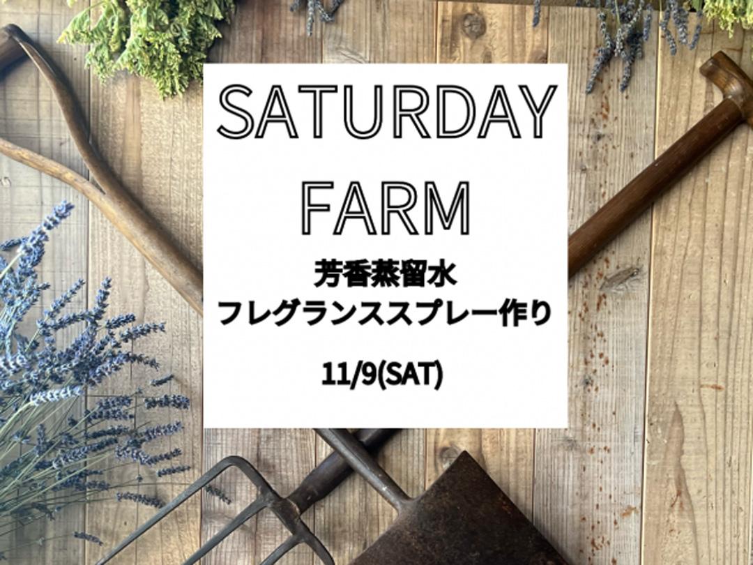 Saturday Farm