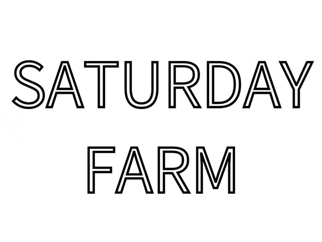 Saturday Farm