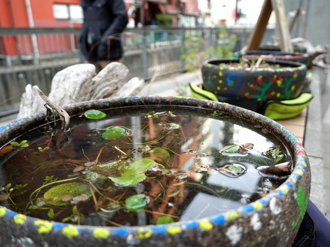 渋谷川沿いで取り組む「ビオトープ」──東横線跡地で生み出す新たな憩いの場